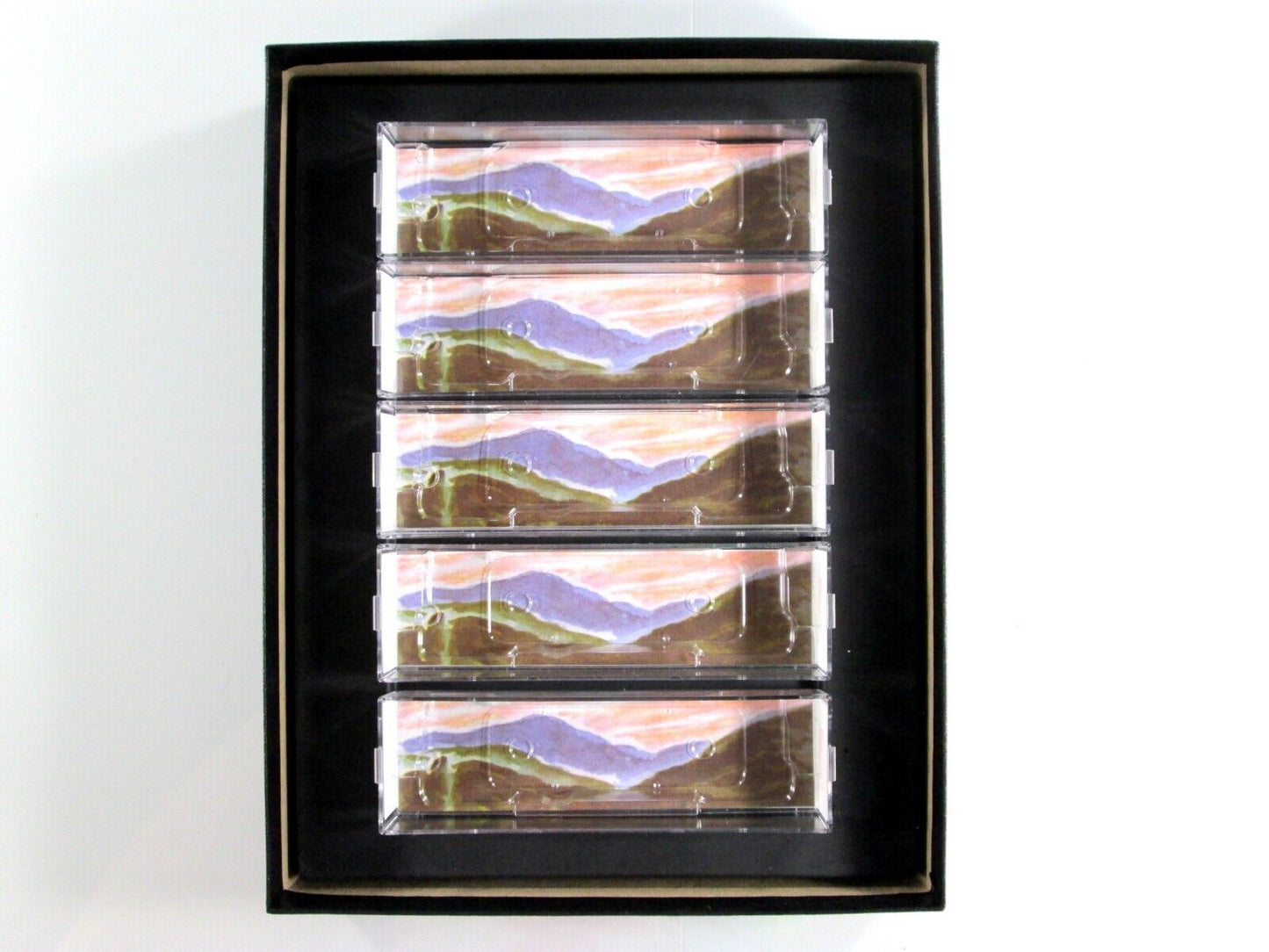 N Scale CHESSIE Vintage Advertising 50' Box Car 5-Pack Set Micro Trains 99321150